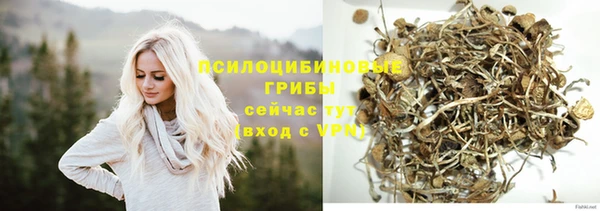 твердый Зеленокумск