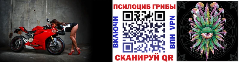 Купить где  Выкса  Псилоцибиновые грибы MAGIC MUSHROOMS 